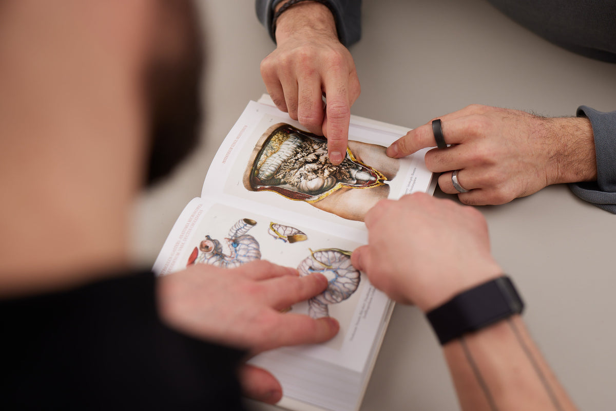 Ärztliches Beratungsgespräch mit Anatomieillustration auf einem Bildschirm